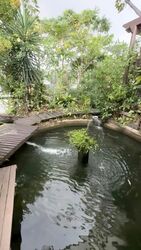 Ming Park (D20), Semi-Detached #543785721
